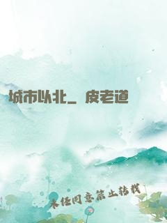 城市以北