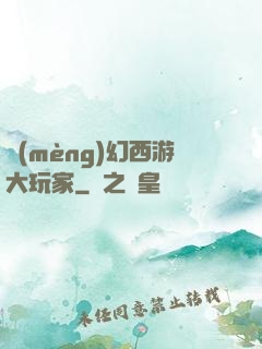 夢(mèng)幻西游大玩家