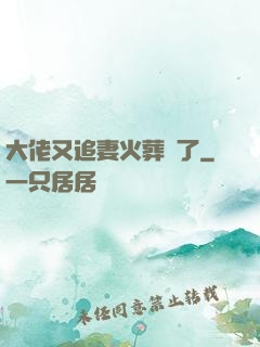 大佬又追妻火葬場了
