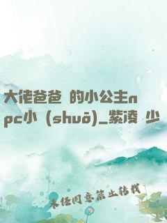 大佬爸爸們的小公主npc小說(shuō)