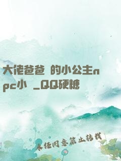 大佬爸爸們的小公主npc小說