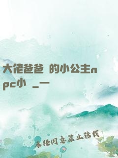 大佬爸爸們的小公主npc小說