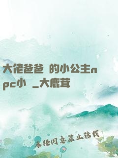 大佬爸爸們的小公主npc小說