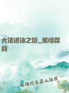 大佬退休之后