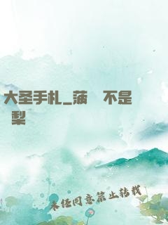 大圣手札