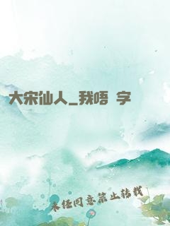 大宋仙人