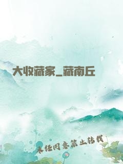 大收藏家