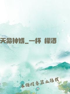 天命神婿