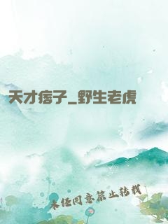 天才痞子