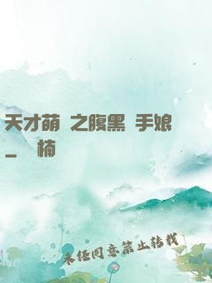 天才萌寶之腹黑殺手娘