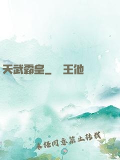 天武霸皇