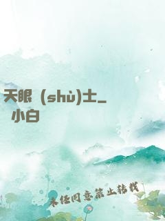 天眼術(shù)士