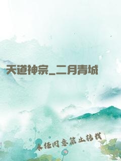 天道神宗
