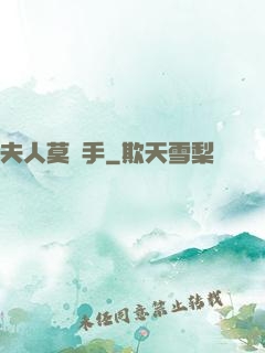 夫人莫動手