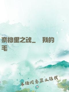 奈格里之魂