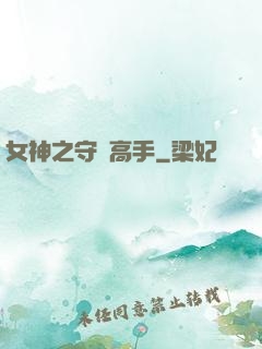 女神之守護高手