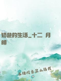 奶爸的生活