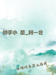 妙手小醫圣