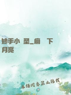 妙手小醫圣