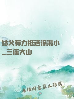 姑父有力挺送徐湫小說