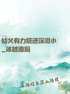 姑父有力挺送徐湫小說