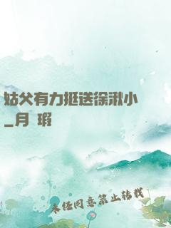 姑父有力挺送徐湫小說