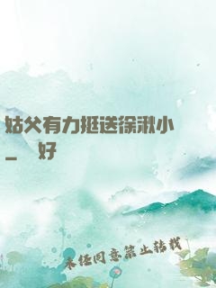姑父有力挺送徐湫小說