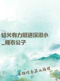 姑父有力挺送徐湫小說