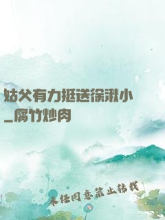 姑父有力挺送徐湫小說