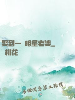 娶到一個明星老婆