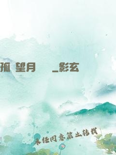 孤樓望月幾時圓