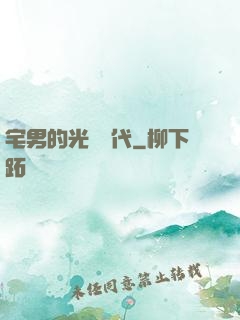 宅男的光輝時代