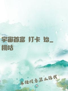 宇宙首富從打卡開始
