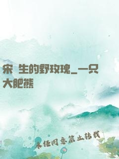 宋醫生的野玫瑰