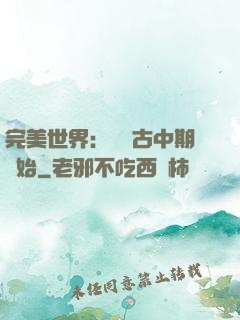 完美世界：從亂古中期開始
