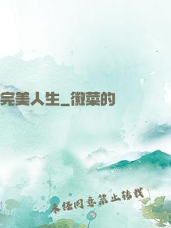 完美人生