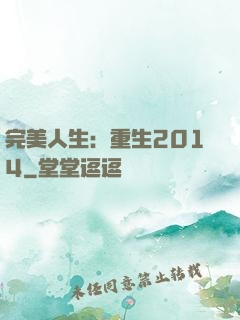 完美人生：重生2014