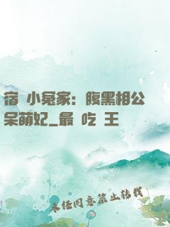 宿敵小冤家：腹黑相公呆萌妃