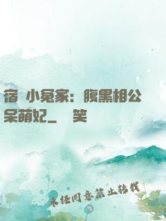 宿敵小冤家：腹黑相公呆萌妃