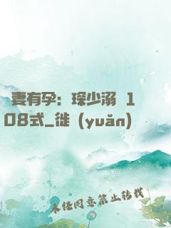 寶妻有孕：琛少溺寵108式