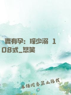 寶妻有孕：琛少溺寵108式