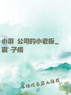 小游戲公司的小老板