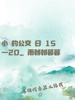 小詩的公交車日記15一20