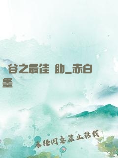 峽谷之最佳輔助