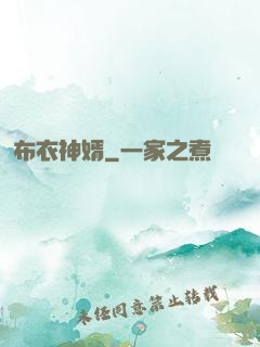 布衣神婿