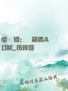 幸運閃婚：寶貝萌妻AO制