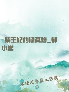 廢柴王妃的修真路