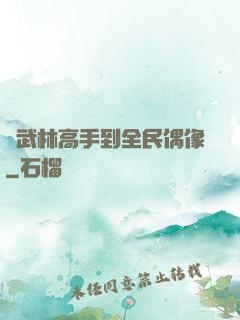 從武林高手到全民偶像