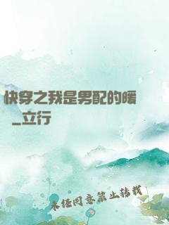 快穿之我是男配的暖寶寶