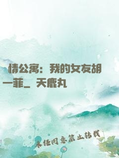愛情公寓：我的女友胡一菲